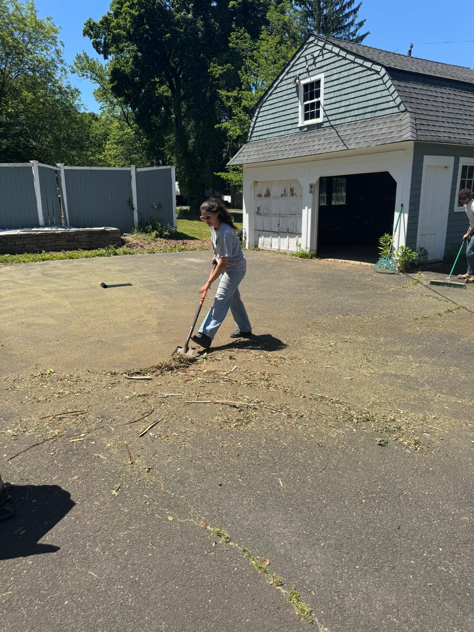 Driveway Cleanup